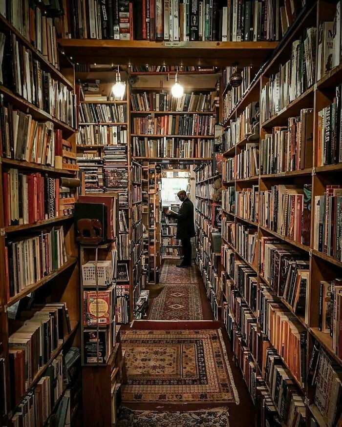 Gemütliche und grandiose Bibliothek mit hohen Holzregalen voller Bücher und einer Person, die in einer magischen Buchhandlung stöbert.